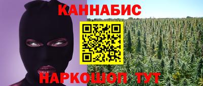 трава Новодвинск