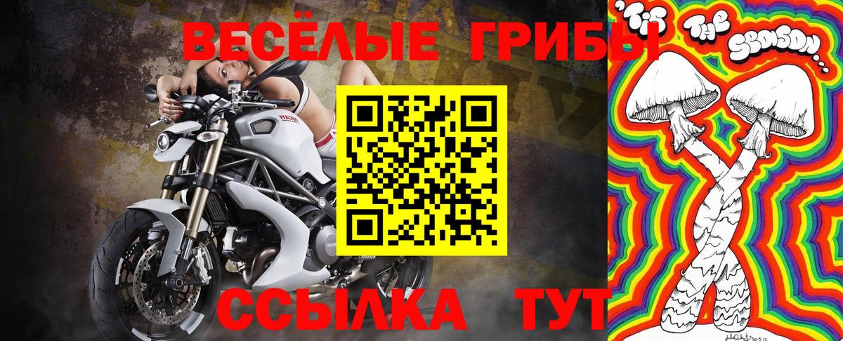 Псилоцибиновые грибы Psilocybe Ханты-Мансийск