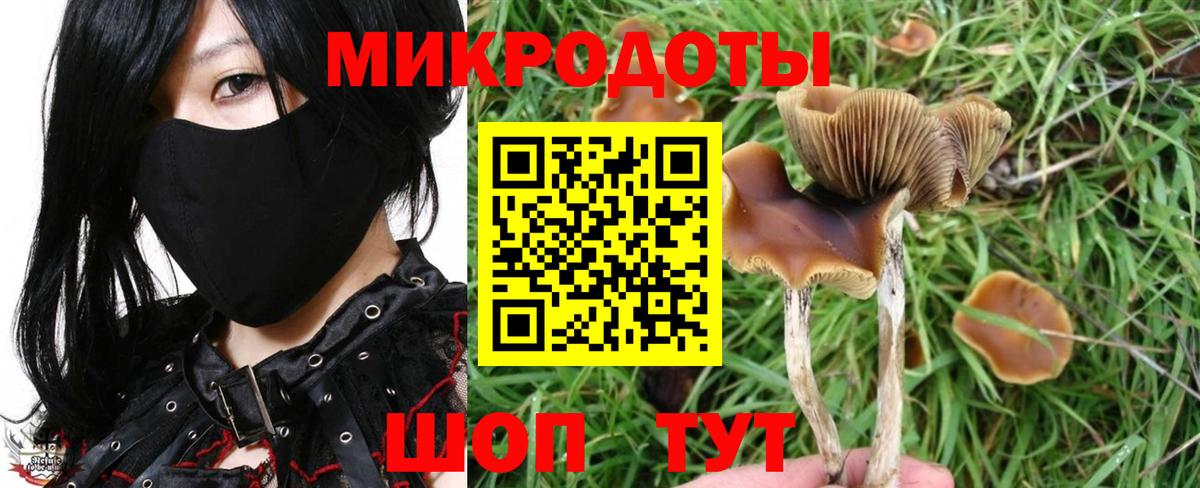 Галлюциногенные грибы Magic Shrooms  Вход с VPN  Ханты-Мансийск  Псилоцибиновые грибы GOLDEN TEACHER 